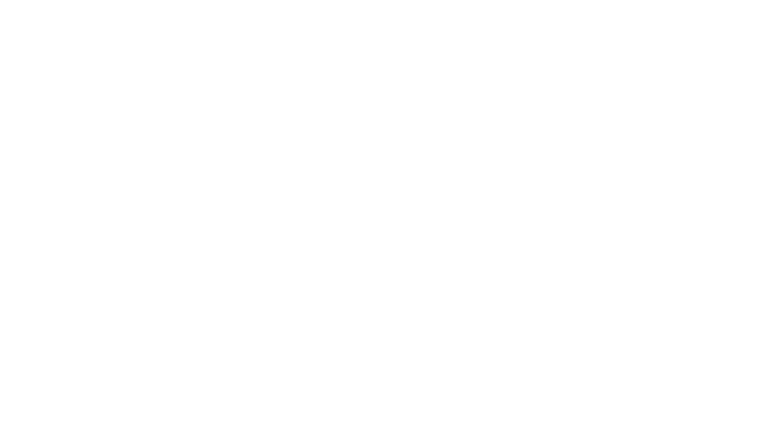 Brown Chapel logo